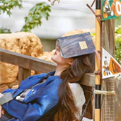 以假乱真：赝品的真实故事